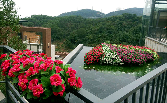 半山半海一角 半山半海一角